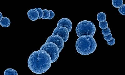 什么是穩轉細胞株?如何構建穩轉細胞株?