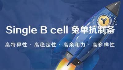 普健生物Xten&trade; Mab Single B 兔 單克隆抗體開(kāi)發(fā)服務(wù)驚喜上市