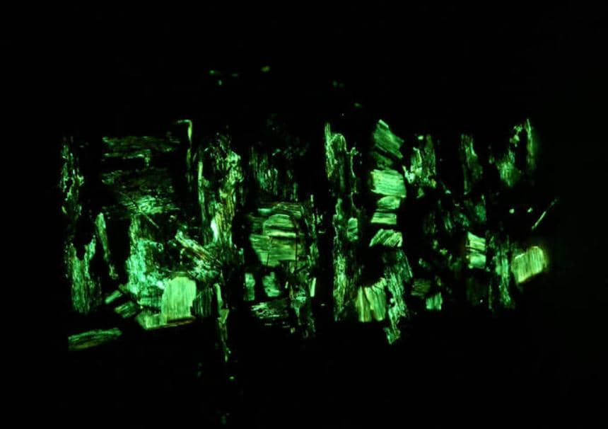 雙熒光素酶報告基因系統&mdash;&mdash;基因分析便捷工具