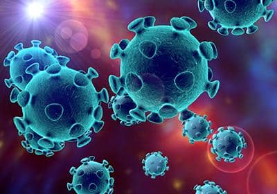 為什么說抗體藥物研發成功的關鍵是雜交瘤細胞?