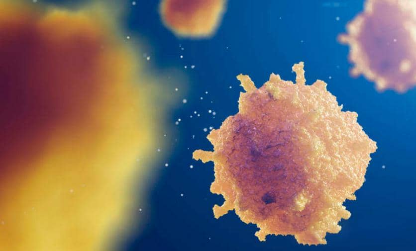 【高分文獻解讀第一期】CD24說：&ldquo;Don't eat me！&rdquo; 腫瘤免疫治療該怎么辦？