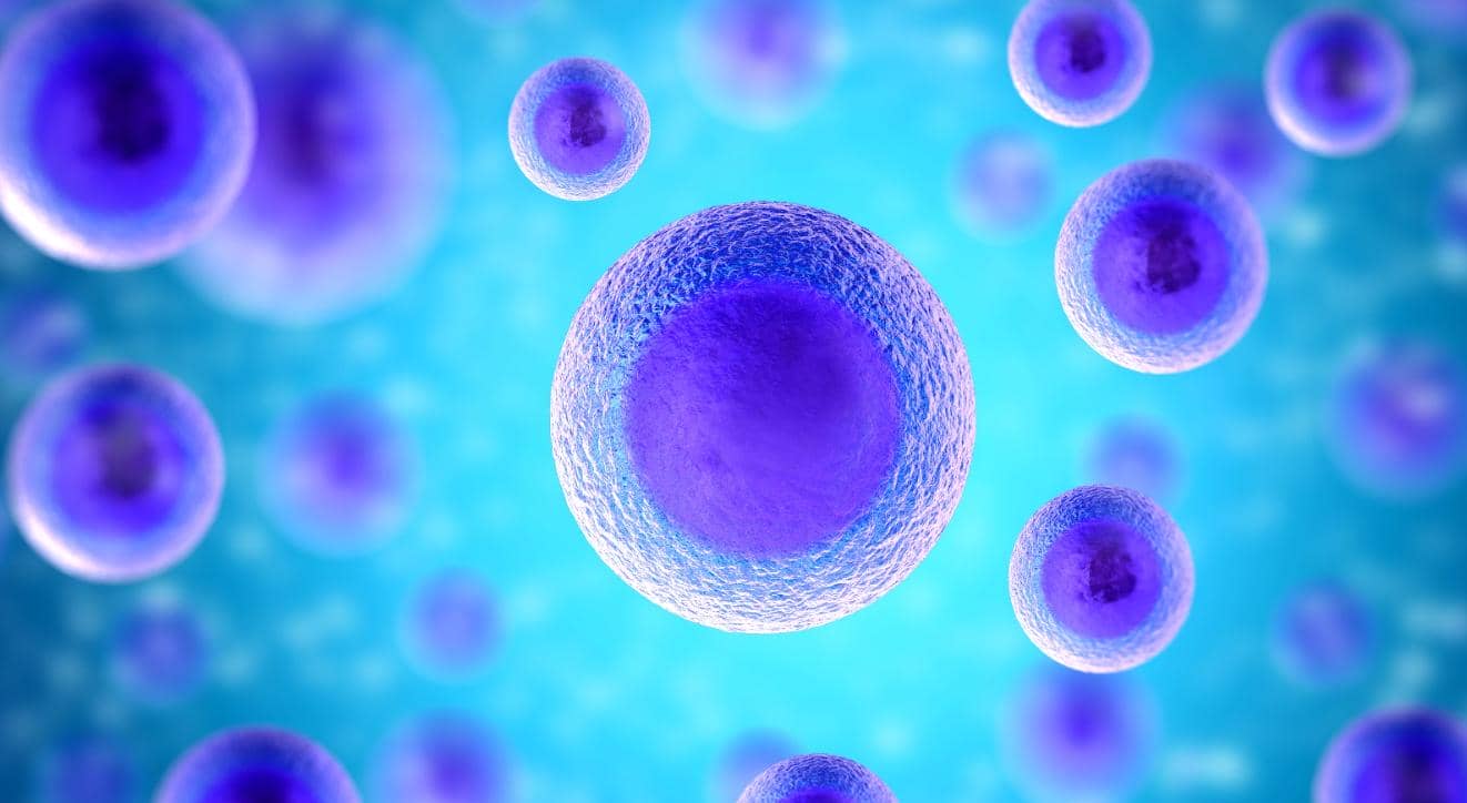 【第二期】流式小課堂&mdash;&mdash;流式對照選擇