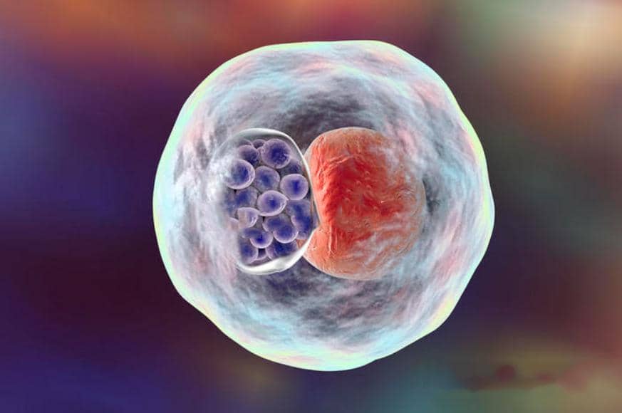 打破包涵體偏見，越深入越了解