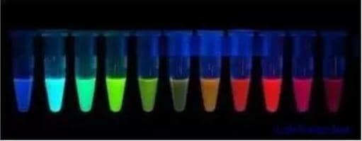 別問(wèn)蛋白有多少，掌握定量方法再來(lái)說(shuō)