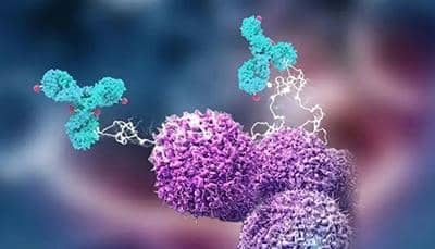 單克隆抗體測(cè)序服務(wù)及其主要流程簡(jiǎn)介