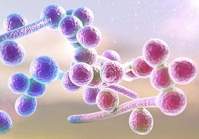 什么是細胞轉(zhuǎn)染技術(shù)?盤點細胞轉(zhuǎn)染的原理及其的特點