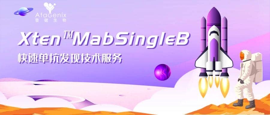 新一代兔單克隆抗體開發技術優勢及開發平臺選擇