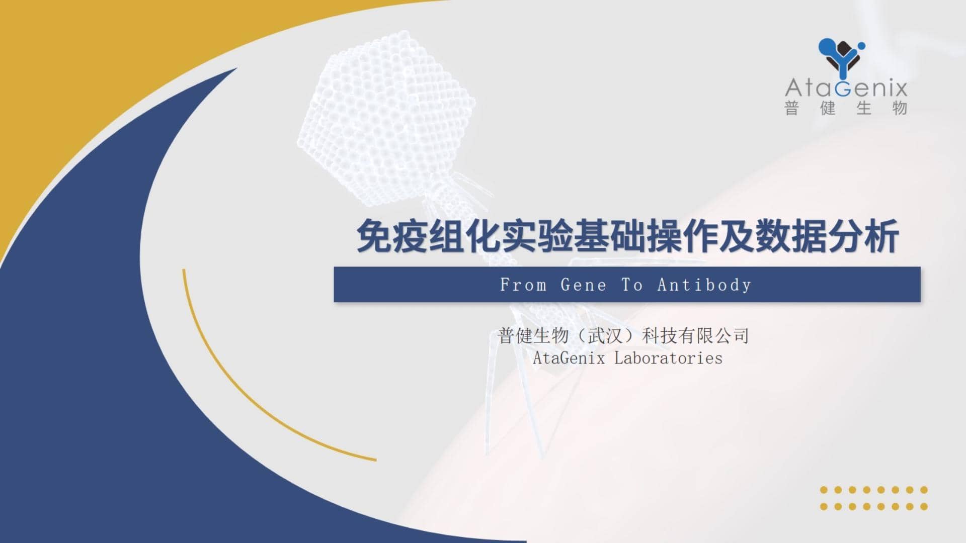 【基礎(chǔ)實驗一篇搞定】免疫組化&mdash;&mdash;IHC實驗基礎(chǔ)操作