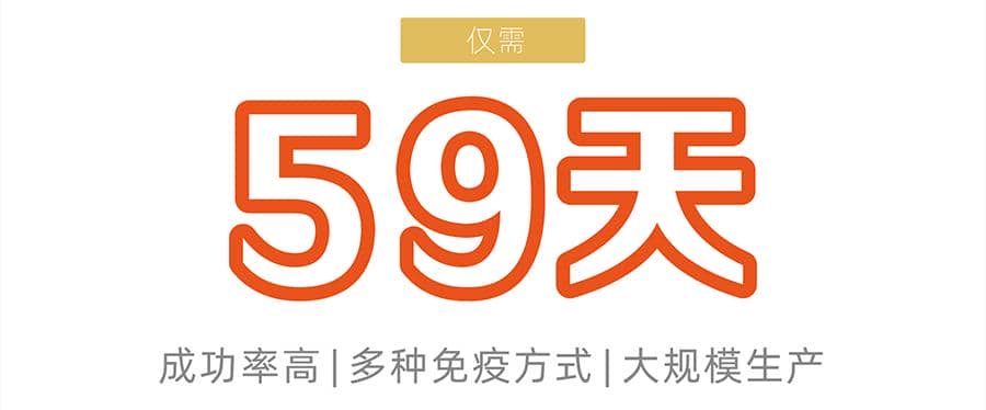 雜交瘤細胞開發(fā)-鼠單克隆抗體僅需59天