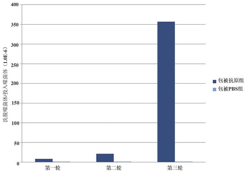 多克隆ELISA驗證