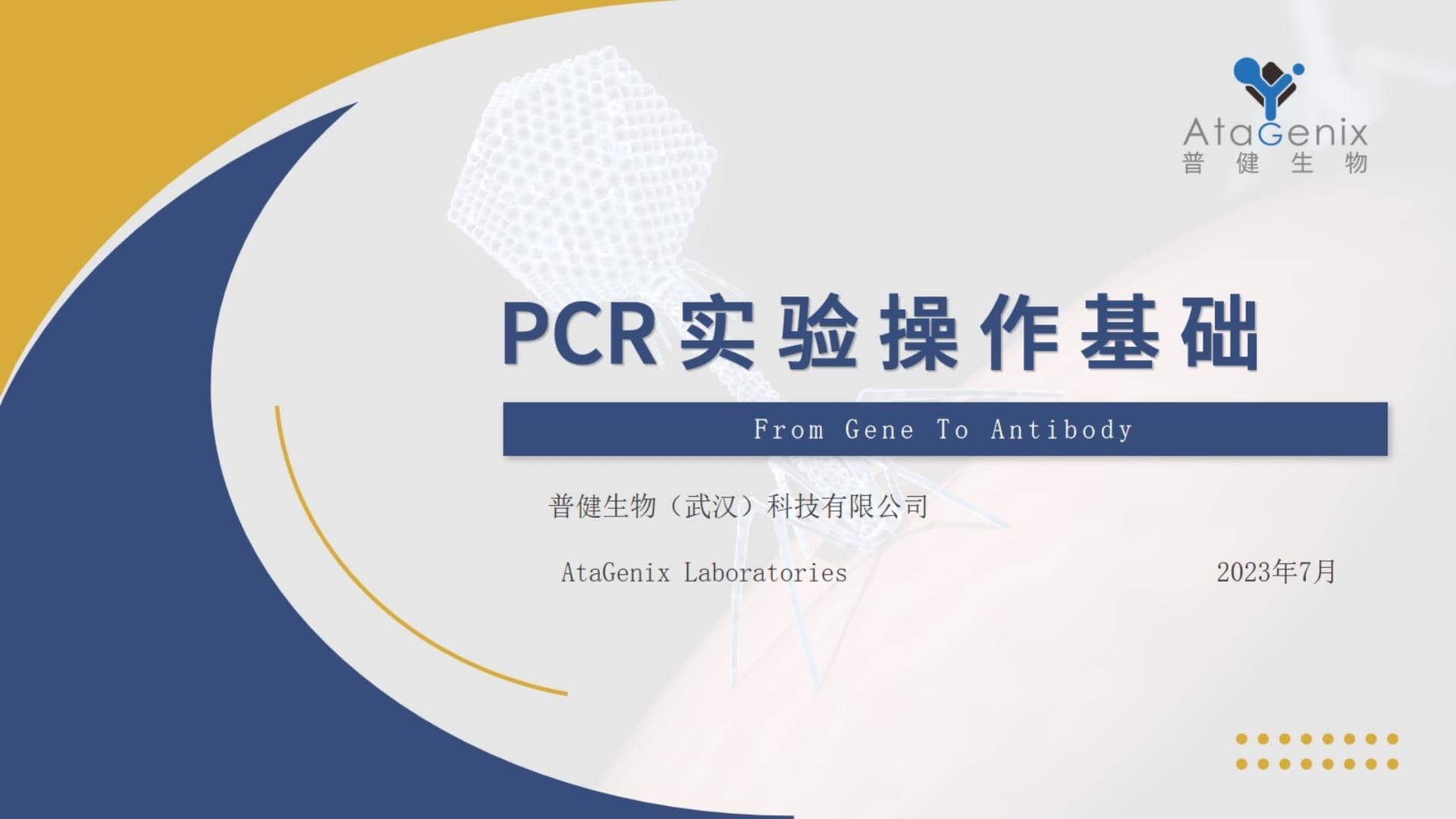 基礎(chǔ)試驗操作篇&mdash;&mdash;PCR實驗