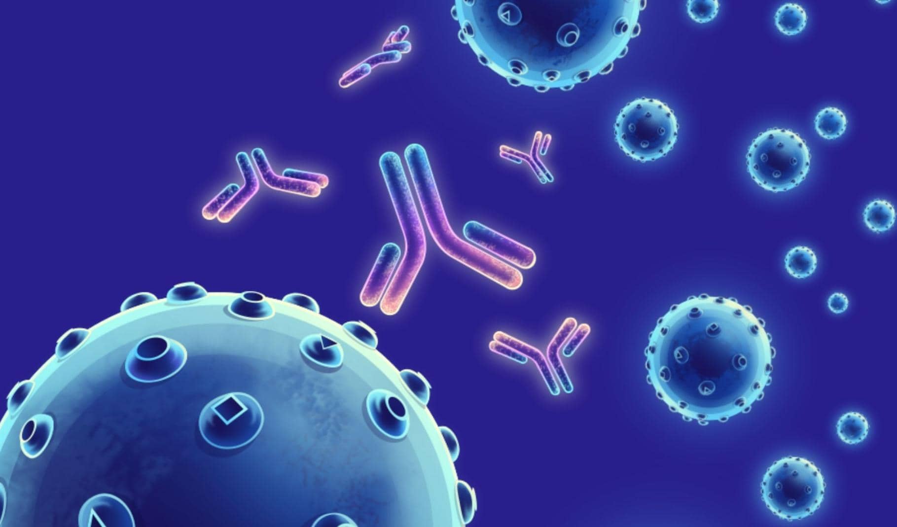 雜交瘤技術服務福利來襲 一站式承包你的科研需求