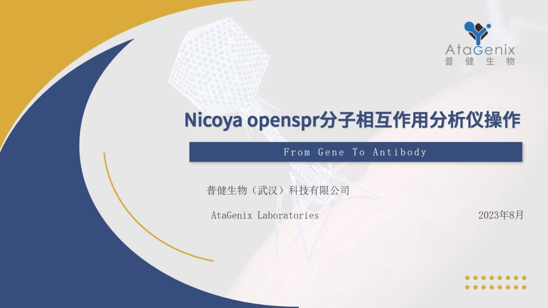 基礎(chǔ)試驗操作篇&mdash;&mdash;SPR親和力測定