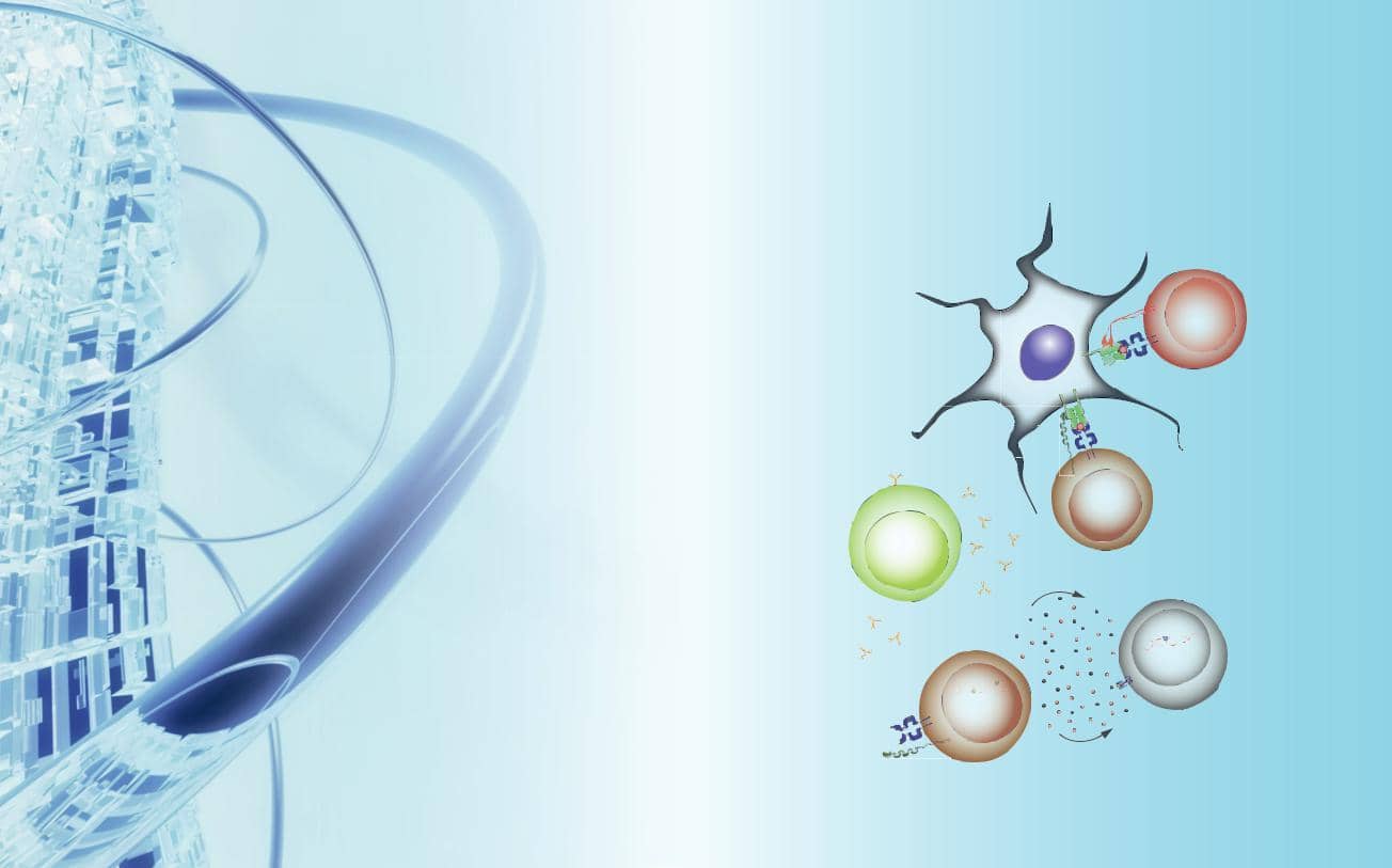 提高抗體人源化效率的設計流程