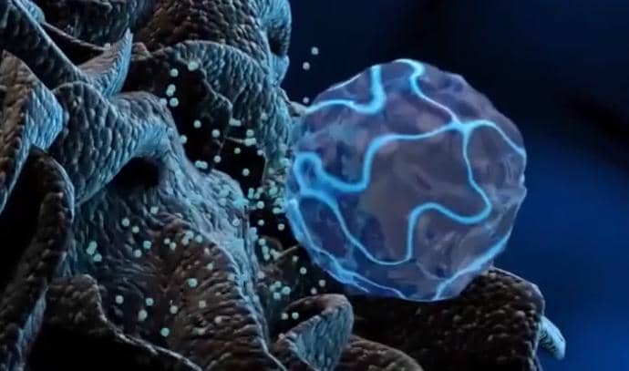 雙特異性納米抗體在腫瘤領(lǐng)域的研究進(jìn)展