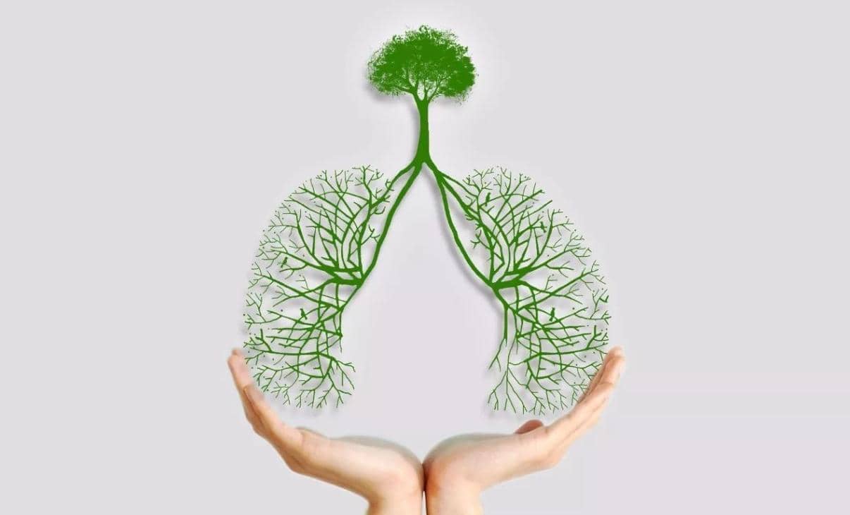 USP18介導的蛋白質在結核病等傳染病中的作用機制及臨床研究