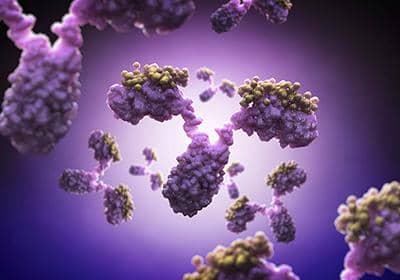 雜交瘤、噬菌體以及單B細胞技術該選擇哪個?