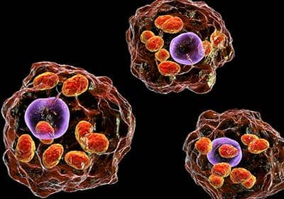 流式細胞術的主要用途有哪些?可以用來檢測什么?