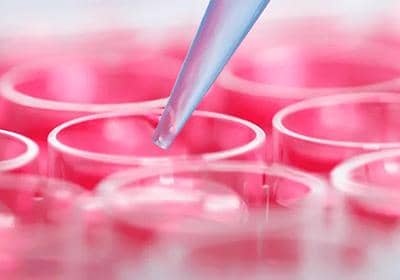 穩(wěn)定細胞株構(gòu)建的常用流程及其優(yōu)勢盤點