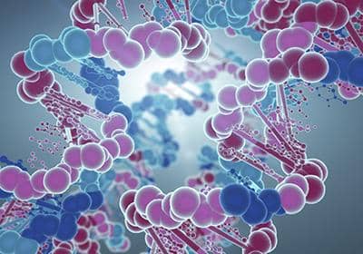 關于酵母表達系統你了解多少?哪些因素會影響其表達?