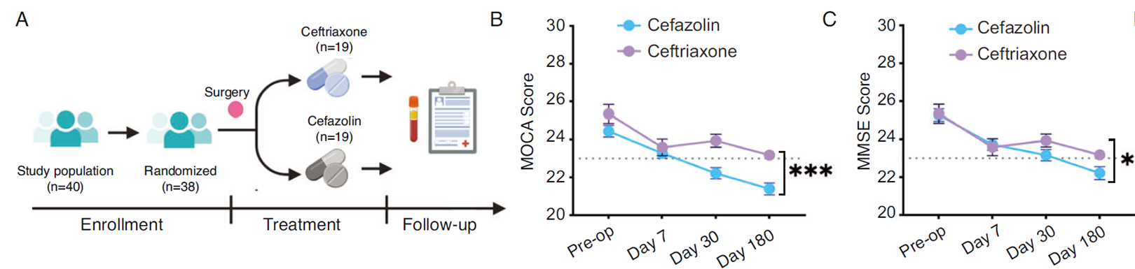 Ceftriaxone顯著降低老年患者術后PNCD發生率，改善認知功能。