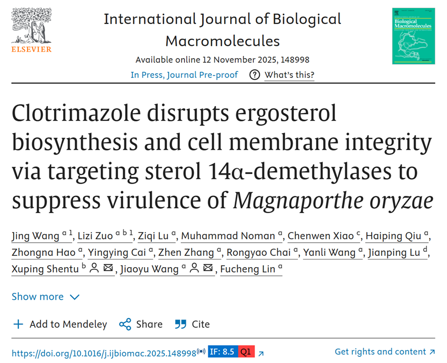 Clotrimazole disrupts ergosterol biosynthesis and cell membrane integrity via targeting sterol 14α-demethylases to suppress virulence of?Magnaporthe oryzae